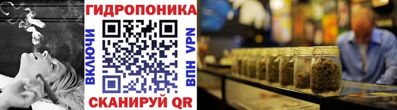 A PVP Узловая