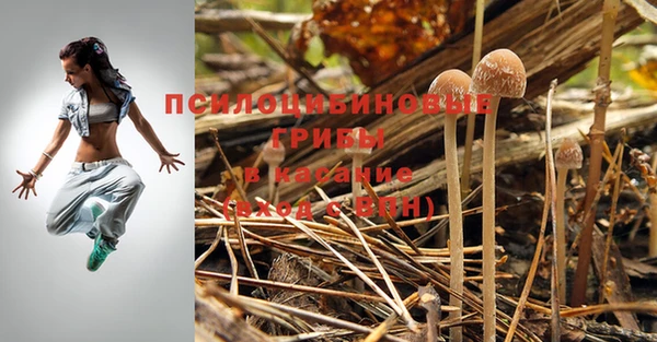 альфа пвп Осташков