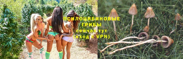 альфа пвп Осташков