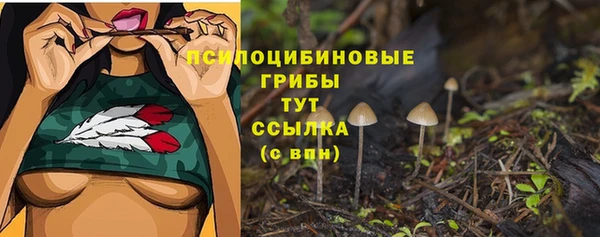скорость Осинники