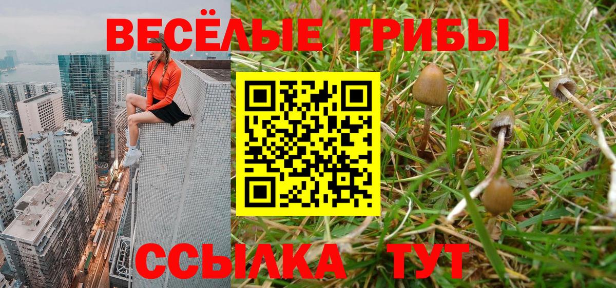 Псилоцибиновые грибы Cubensis  как найти закладки  Узловая  Вход с VPN  Псилоцибиновые грибы ЛСД 