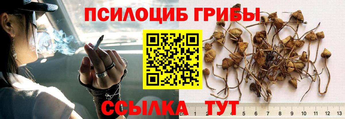 Псилоцибиновые грибы Magic Shrooms Узловая