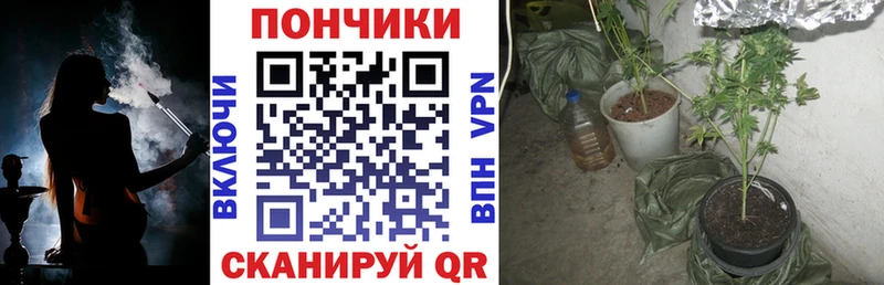 Каннабис Bruce Banner  что такое наркотик  Узловая 